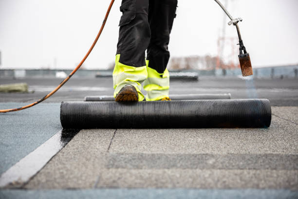 Best Roof Maintenance and Cleaning  in , AR