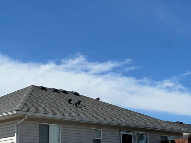Best Chimney Flashing Repair  in , AR